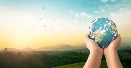 7 Simple Actions to Help Your Company Embrace Sustainability
