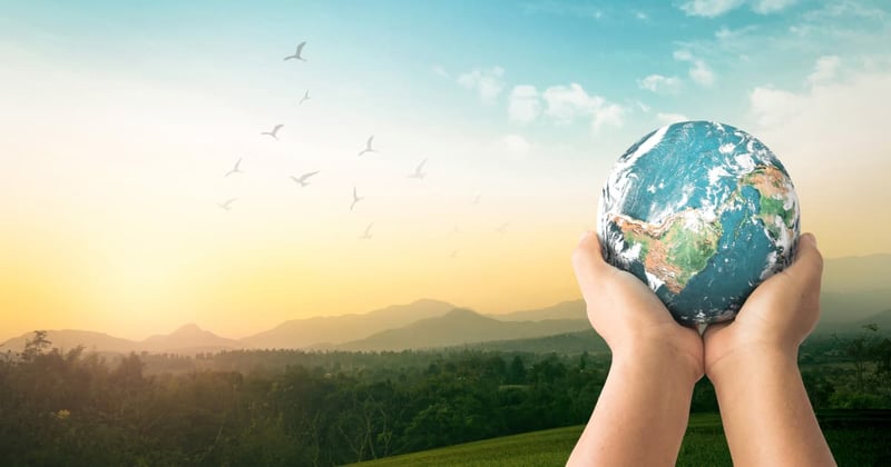 7 Sustainable Business Actions To Help Your Company Do Good