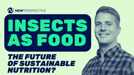 Are Insects The Future Of Food? Podcast With Innovafeed