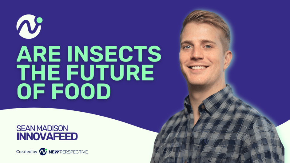 Are Insects The Future Of Food? Podcast With Innovafeed