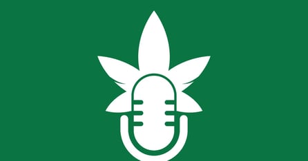 10 Best Cannabis Podcasts for B2B Professionals