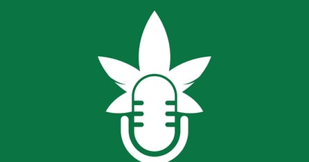 10 Best Cannabis Podcasts for B2B Professionals