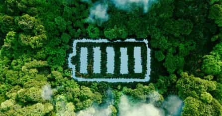 Carbon Offsets for B2Bs: How to Choose a Carbon Offsetting Partner