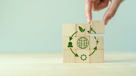 Navigating Circular Business Models and Sustainability Marketing