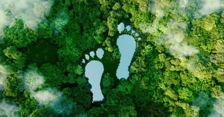 7 Sustainable Business Actions To Help Your Company Do Good