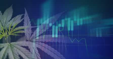 Cannabis Industry Statistics 2024 Where the Industry Stands