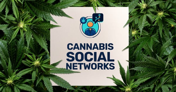 Top Cannabis Social Media Networks for B2B Companies