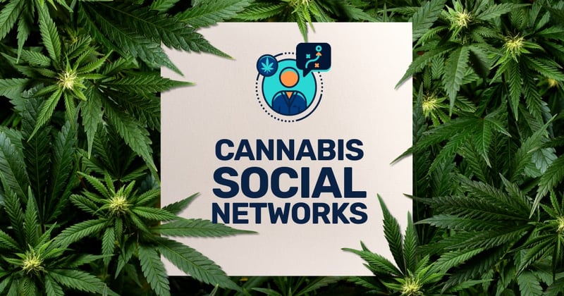 Top Cannabis Social Media Networks to Grow Your Business and Brand