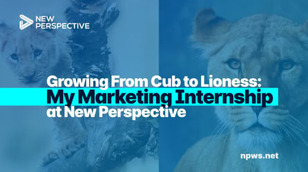 My Marketing Internship: Growing From Cub to Lioness