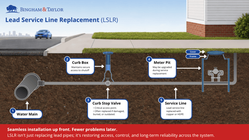 LSLR Infographic