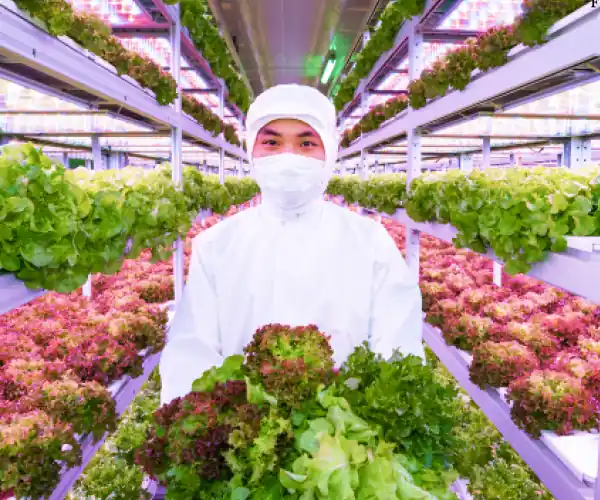 Agricultre technology marketing