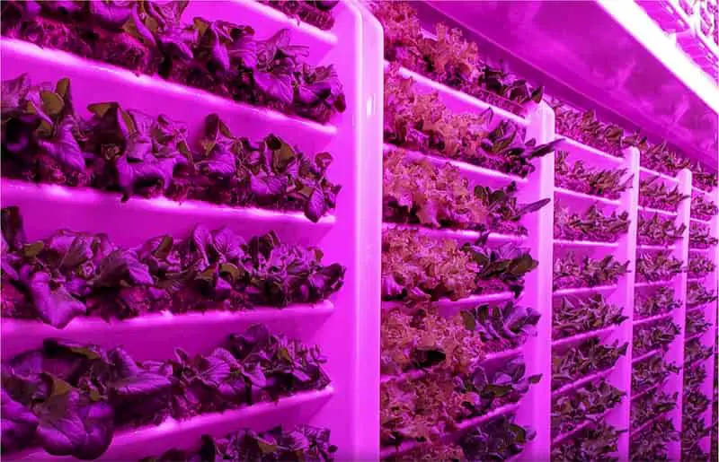 Agriculture technology marketing