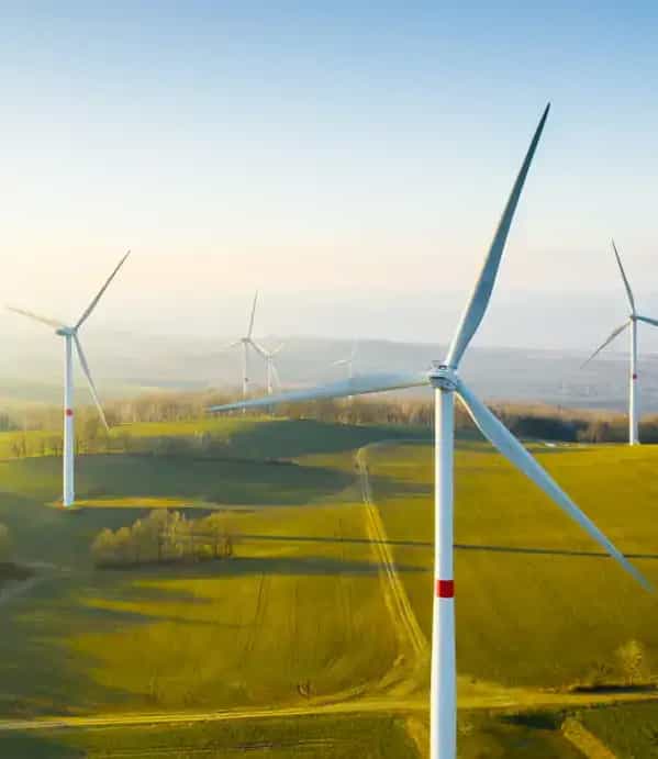 Windesco