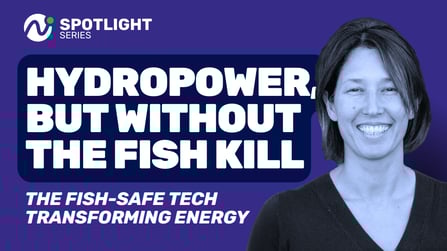 Hydropower, Challenges and Innovation: Spotlight on Natel Energy