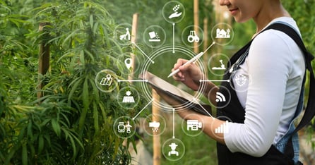 Marketing in Cannabis Industry: Dos and Don'ts of Cannabis Marketing
