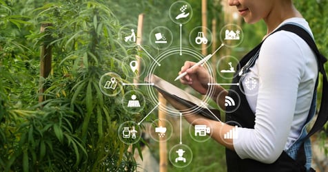 Cannabis Marketing Agency: Cannabis Social Media & Strategy