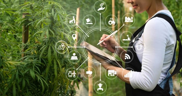 Glossary of Common B2B Cannabis Terms