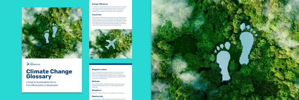 Climate change glossary: a guide to sustainability terms from afforestation to wastewater - climate change,sustainability Climate change glossary pdf
